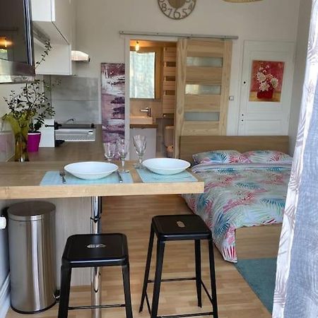 Appartamento Le Cosy Tassin - Rez De Jardin Esterno foto