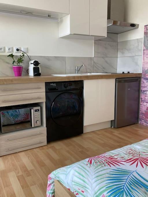 Appartamento Le Cosy Tassin - Rez De Jardin Esterno foto